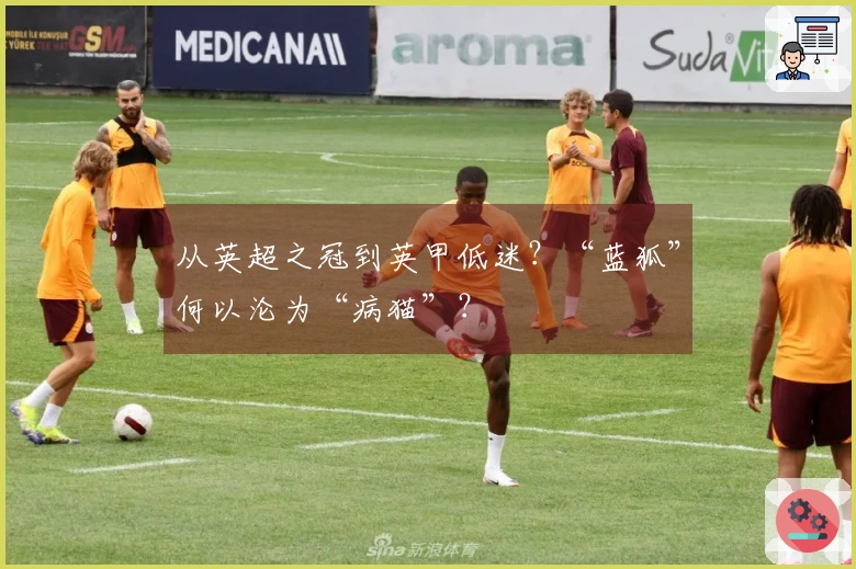 从英超之冠到英甲低迷？“蓝狐”何以沦为“病猫”？