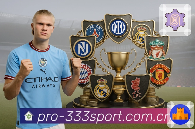 333体育信息清晰度与页面可读性